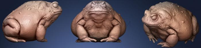 3D model Toad Sculpture (STL)